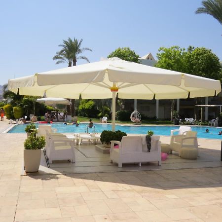 Royal Park- Magical Garden Apartment Eilat Extérieur photo